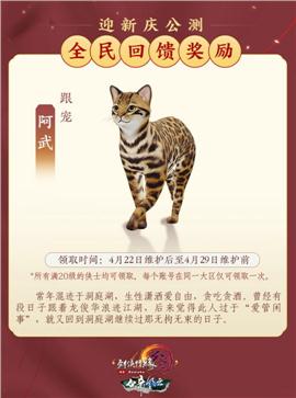 天龙八部私服关闭假人